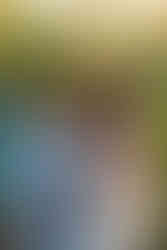 Fun cocktail hour activities