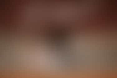 For The Photographer: Tips For Getting Into Wedding Photography