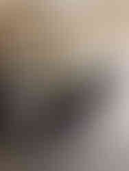 Stockholm Wisconsin wedding venue