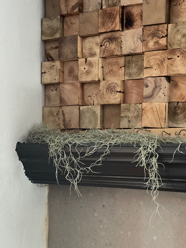 Photo Aug 17, 2 03 18 PM.jpg