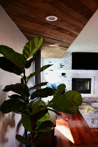 Photo Mar 18, 9 44 50 PM.jpg