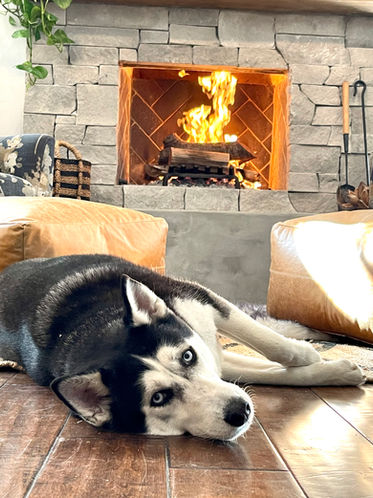 Photo Nov 23, 1 19 21 PM.jpg