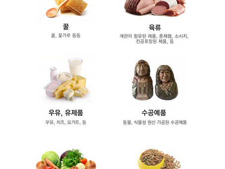 칠레 반입 금지 품목