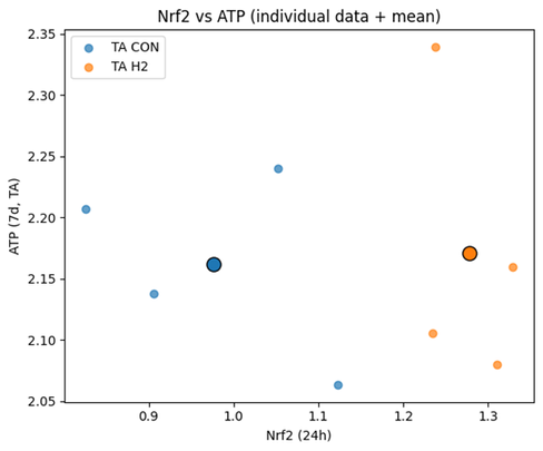 核内Nrf2(24時間後)とATP量(7日後)の関係を示す散布図。各点は個体データを示し、群平均も表示されている。明確な相関は認められなかった