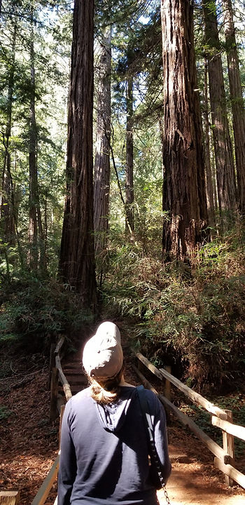 Digital Marketing Trends 2018 and Seeing through the forest