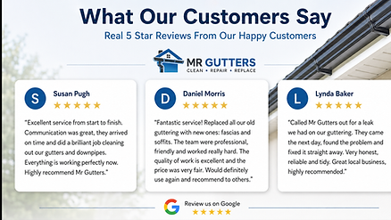 mr guttgoogle 5 star reviews r google rating