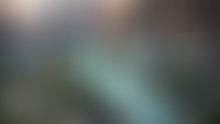 Sustainability Sells — Why ESG Is Smart Business