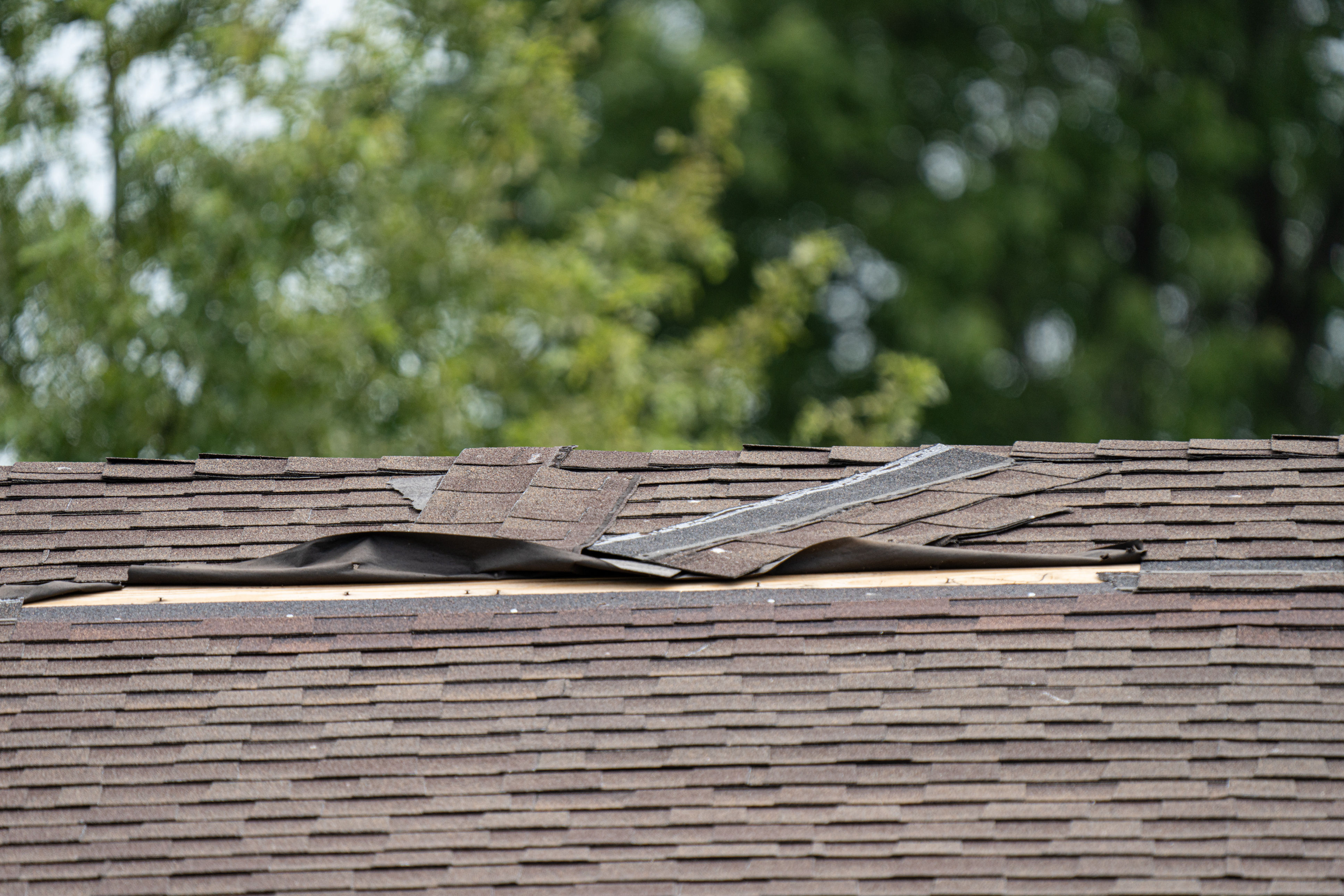 Wind blown shingle damage