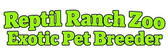 image0 (47).png