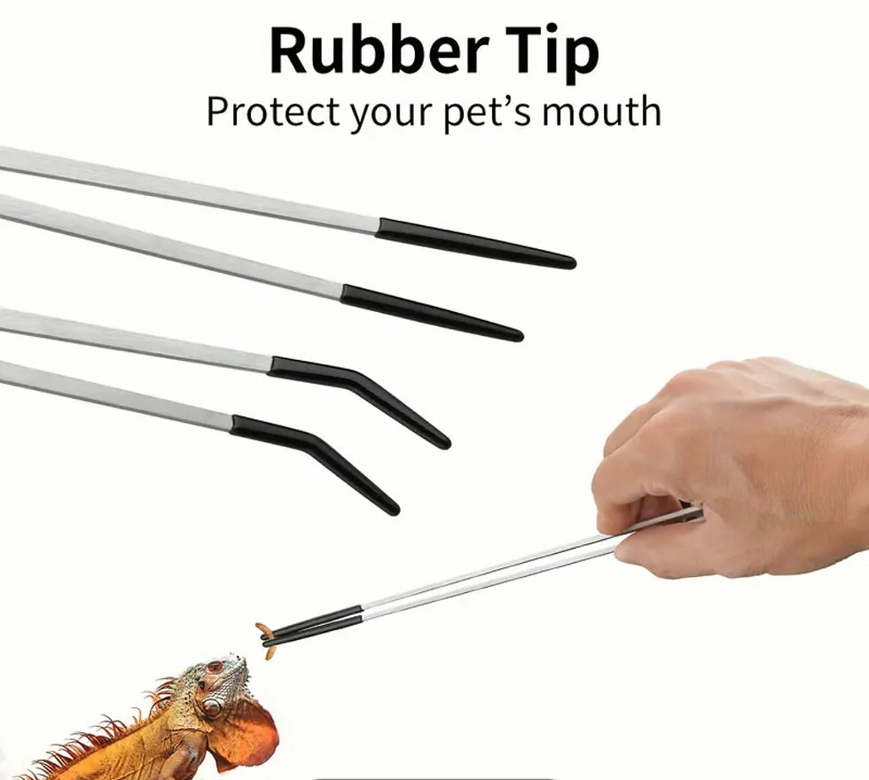 Miniatura: Pinzas de alimentación de reptiles de acero inoxidable 10.5”
