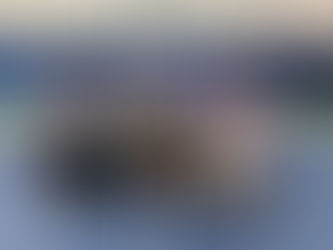 The Lady Dragons are Headed Back to State!