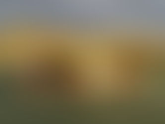 Pine City Wins Semi Final Match Over Crosby-Ironton