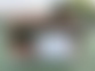 Pine City with Another Conference Victory