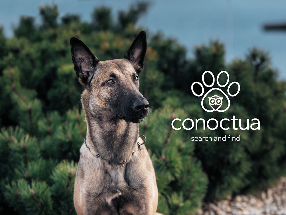 Conoctua-Hund-Pic.jpg