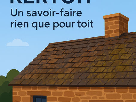 🧼 Pourquoi faire nettoyer régulièrement sa toiture ? 🏠