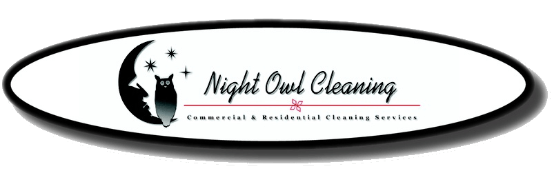 Night Owl Cleaning