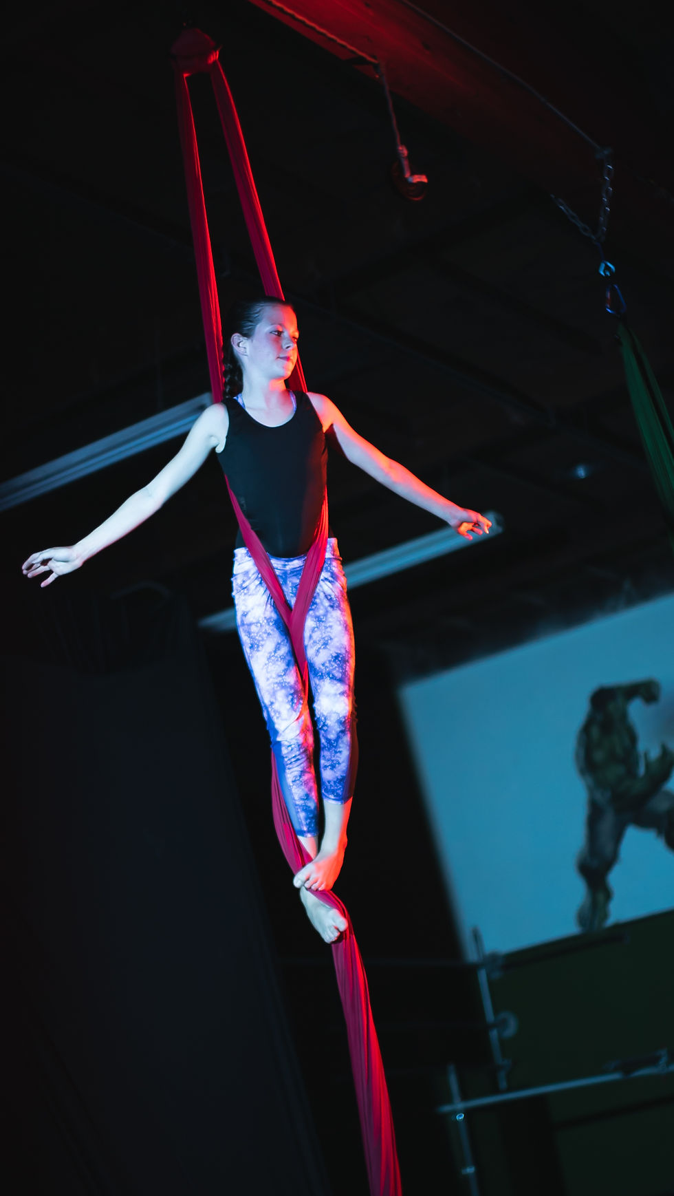 Aerial Silks