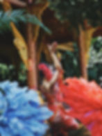 Hula Dancers