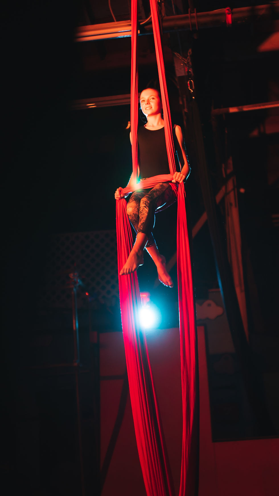 Aerial Silks