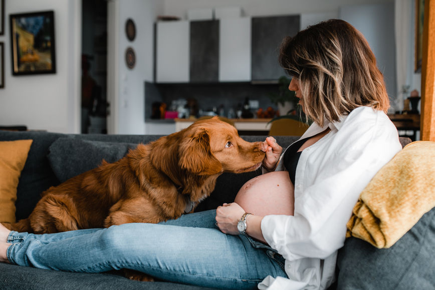 Pregnant mother to be is playing with her dog on a couch.