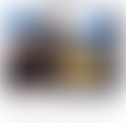 Fiesta Salvaje en Cuba