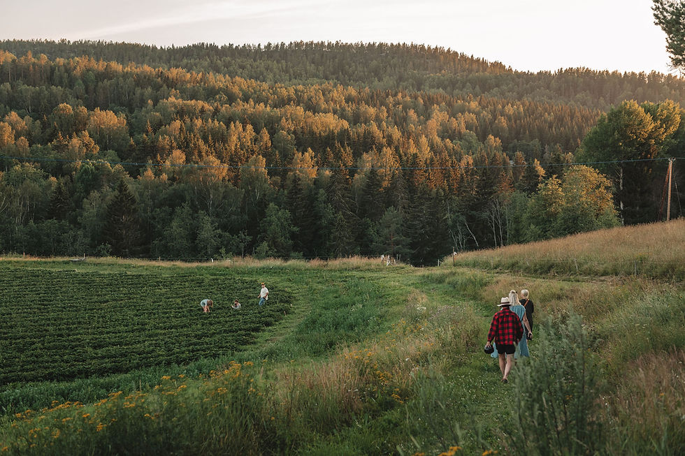 gårdtjärns_gård_högupplösta_srgb-1 (1).jpg