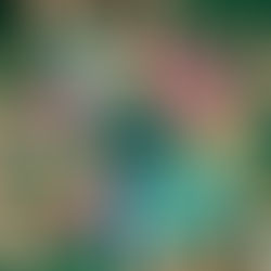 What Are the SDGs - And Why Should You Care?