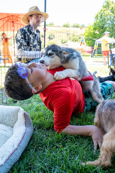 child burn survivor playing with puppy camp