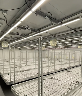 Screen Shot 2024-10-04 at 7.13.02 AM.png