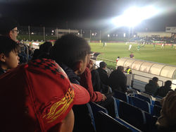 試合観戦
