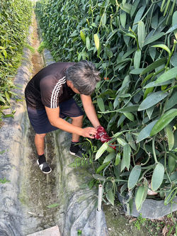 LINE_ALBUM_香草園_230426_17