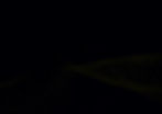 shutterstock_631636766_edited_edited_edited.jpg