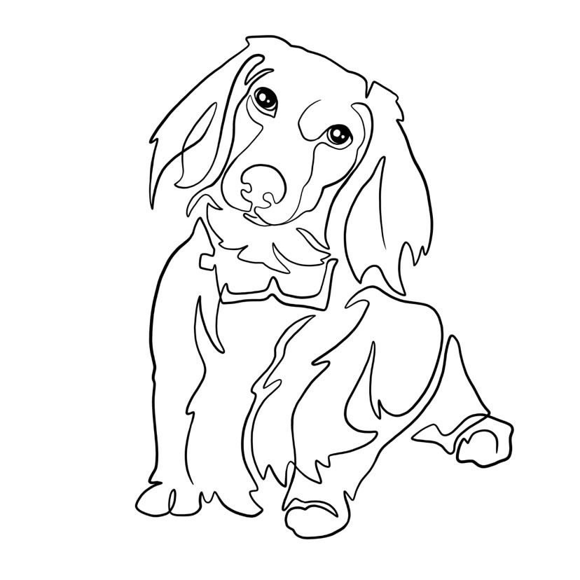 Custom line drawing of dachshund