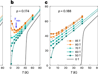 Article on strange metal in LSCO published in Nat. Phys.