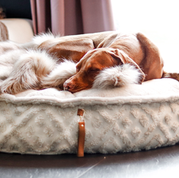 Erfahrungsbericht | Giardien komplementärmedizinisch behandeln