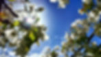 DSC_1048~2.jpg