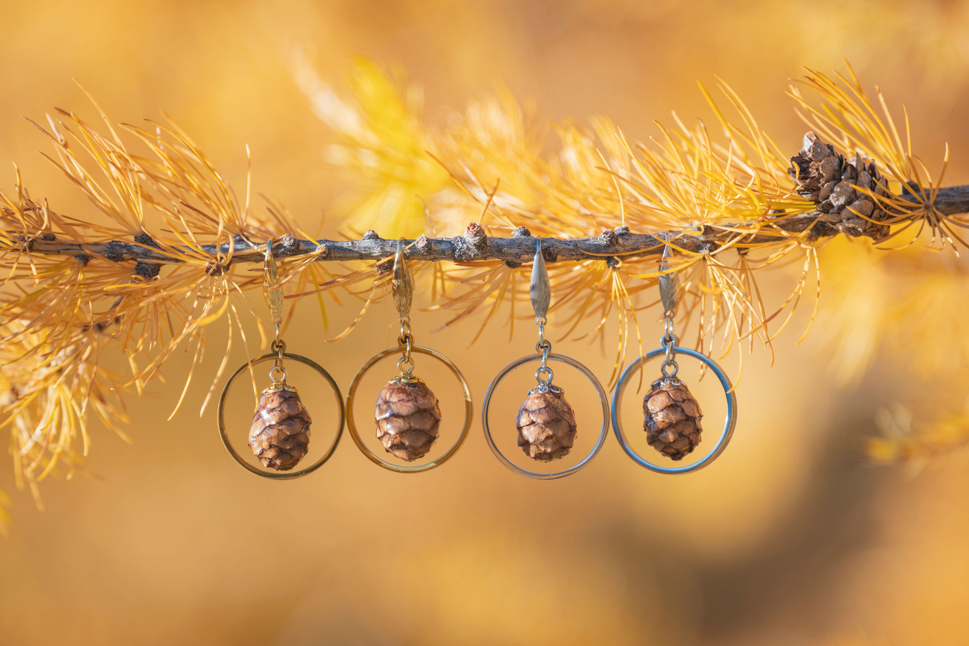 Orecchini con cerchi e pigne di larice