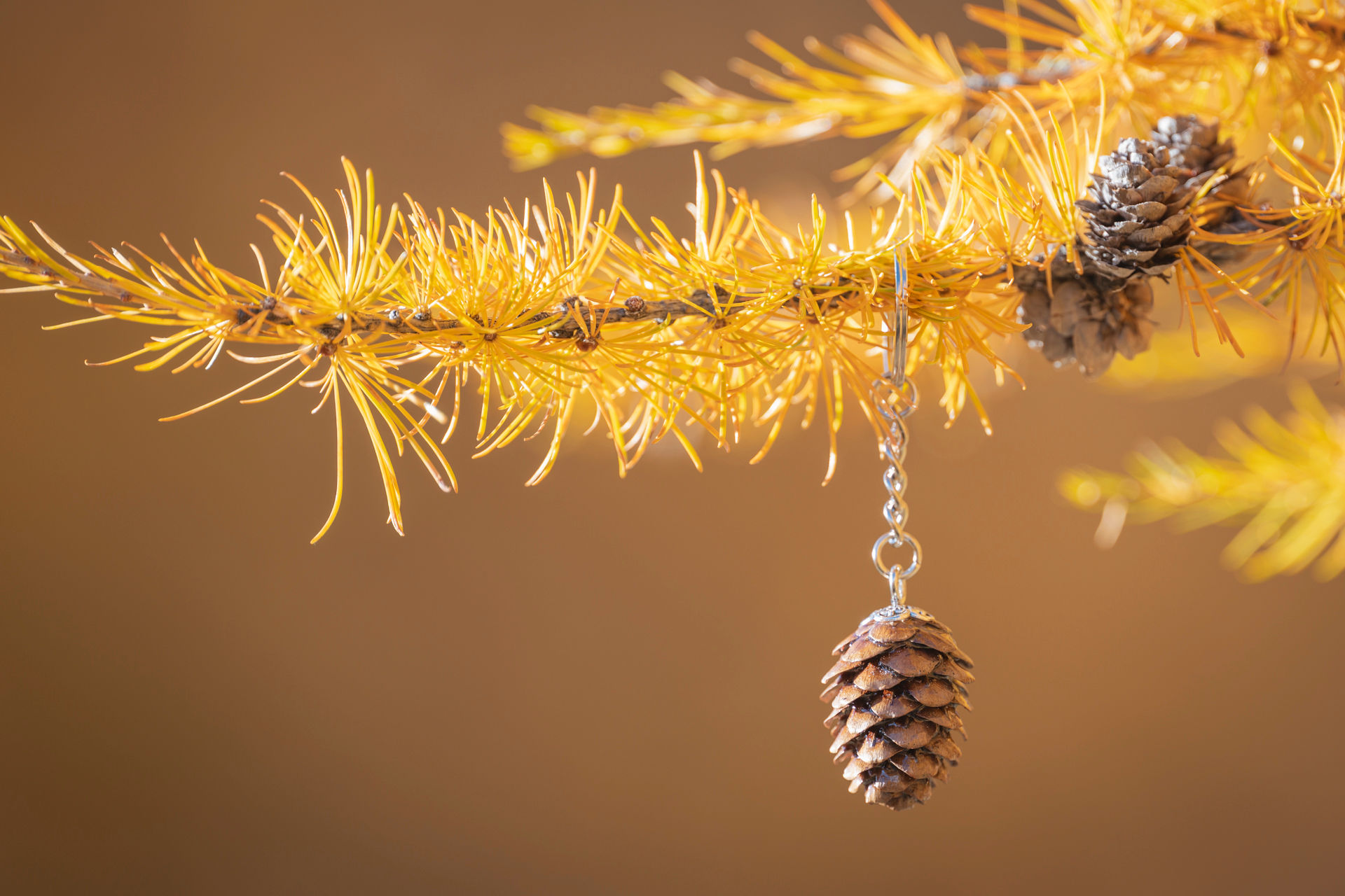 Portachiavi con pigna di larice