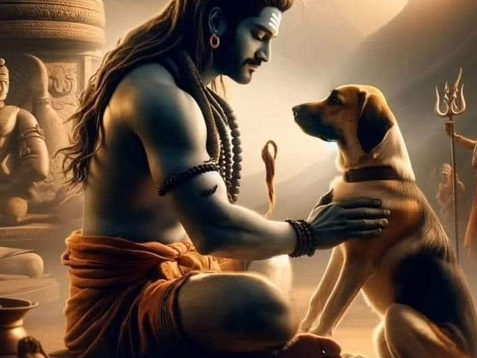 Sanatan Dharma and Pets: A Sacred Bond and the Soul's Journey