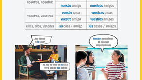 POSESIVOS 1