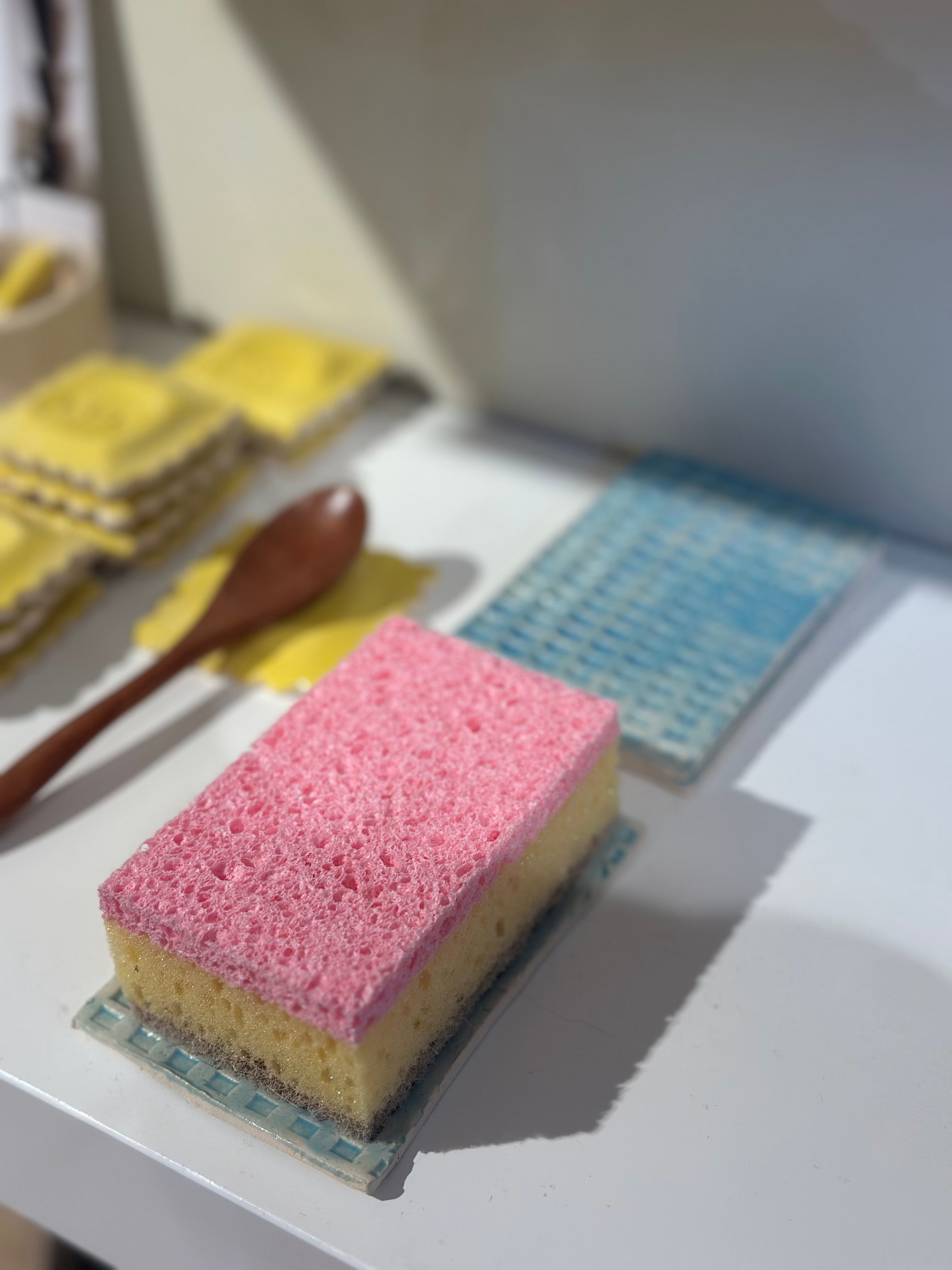 Dishwasher sponge Holder