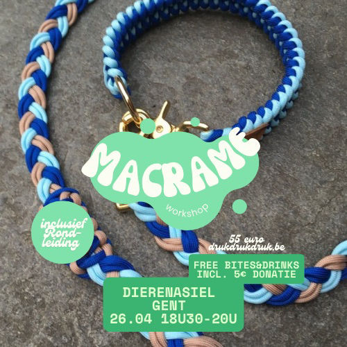 Maak je eigen honden sierhalsband 