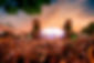 Weldefest - Party mit Livemusik.jpg