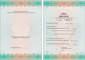 диплом по программе техносферная безопасность