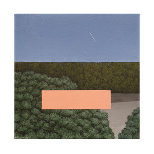 painting, art, greenery. pink, relaying, airplane,