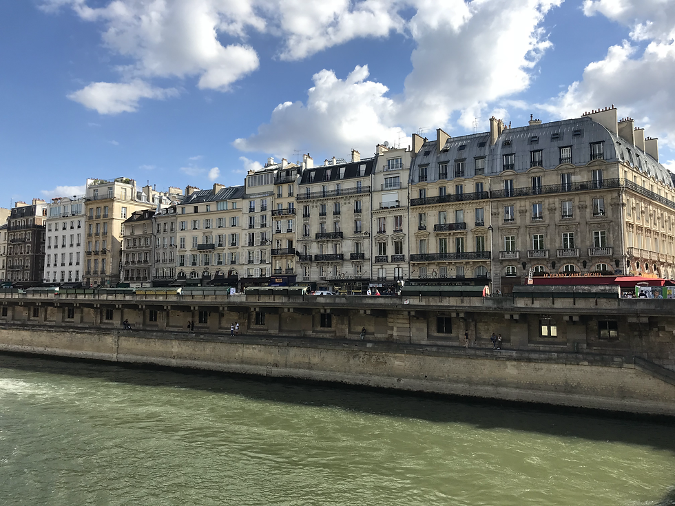 Island in the Seine