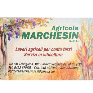 Agricola Marchesin