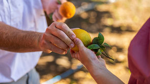 Privilegiar la cooperación sobre la competencia. Invitación a pensar sobre la gobernanza cooperativa