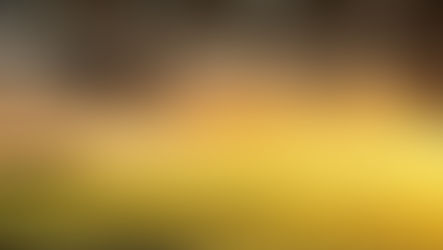 Acciones desde Laudato Si’