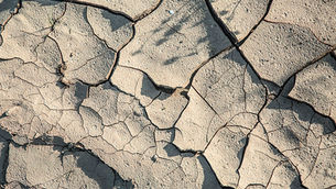 El desafío global del cambio climático: nuestro compromiso y el camino por recorrer